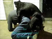 Sexy man gets assfucked by his dog in the street