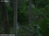 Horse Story DVD - Deep anal penetration for this never before seen teen as she engages in beastiality