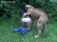 Petite young whore gets her cunt slammed by a dog while outdoors