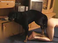 Petite fresh-faced college dude getting fucked by his dog