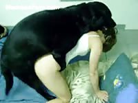 Dick deprived short haired petite skank gets hammered by a meaty dog in this beast movie