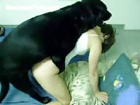 Assertive never before seen dark haired teen gets nailed by dog in this home bestiality movie