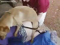 Smashing eighteen year old newcomer lifts her skirt for beastiality sex with a dog in her debut