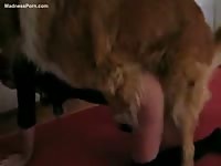 Soccer player learns a doggy-style