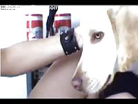 Flirty young teen satisfies her sexual desires as she dabbles in bestiality sex with her big dog