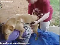 Stunning eighteen year old Angela welcomes her first bestiality encounter with a large dog