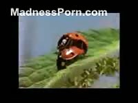 Zoo fetish sex compilation movie featuring various animals fucking each other in the wild