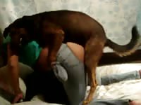 Pleasing amateur wife cuts a hole in her jeans so she can easily be fucked by an animal here