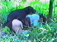 Fine bottomed dark haired hoe enjoying the outdoors while getting rammed by a dog here