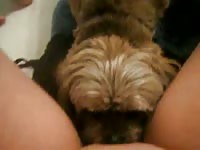 Wild-minded young teen looks ready for a pounding while enjoying oral sex from an animal