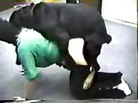 Older hussy getting her sweet hole humped by an enormous K9 in this recent zoo sex video