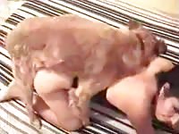 Chubby hussy getting her sweet hole humped by an endowed K9 in this bestiality sex movie