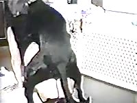 MILF bends over with no panties on and enjoys a wonderful cunt fucking from her large dog