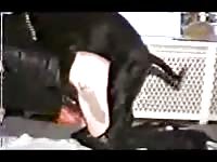 Striking married tramp in sexy lingerie and nylons getting her cunt fucked by an animal here