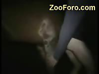 Slender fresh-faced twink getting fucked hard by a horse in this great unseen beast sex movie