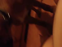Sensational risky housewife sounds ready for action while enjoying oral sex from an animal
