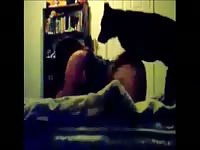 Coed trollop getting her dripping hole screwed by an enormous dog in this beast sex flick
