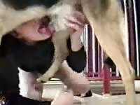 Cum loving college skank shows off her cock sucking skills on a horse in this beast sex vid