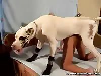 Hot Dog DVD - Blonde coed hoe getting her wet fuck hole screwed by an endowed K9 in this beast sex movie