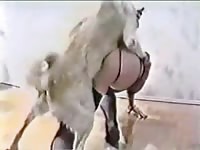 Cock starved thick trollop getting screwed good by a big dog in this great beast sex video