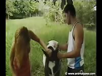 AnimalPass - Sensational dick sucking and fucking by this darling hoe as she takes on huge horse cock