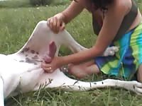 This amazing hardcore animal fetish movie features a MILF tugging aa needy huge dog