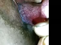Closeup movie features a veiny animal cock being pushed in-and-out of nasty whores cunt
