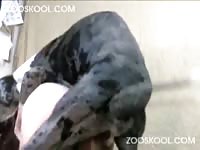 Zooskool - Older slut getting her wet pussy screwed by an overly excited large dog in this zoo sex flick