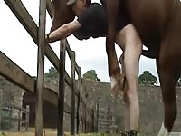 Dick addicted skinny twink stands tall while taking a brutal anal smashing from a horse here