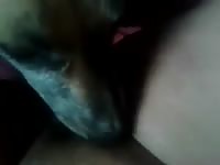 Thick bottomed fresh-faced woman opens her legs to experience animal tongue on her clit