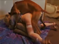 Sex amateur MILF in stockings gets fucked by a dog in this homemade beast sex video