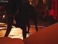 Perfectly shaved cougar spreads open and welcomes excellent cunt licking from her K9