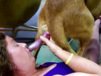 Chubby tramp shows off fantastic cock blowing skills on a hung dog in this animal sex movie