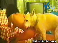 Married stunner getting her groomed hole blasted by an endowed dog in this zoo sex flick