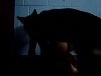 Skinny married dude cheats on his lover as he bends over for anal sex from a dog in this video