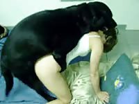Petite coed newcomer opens her long legs for oral from an animal before banging the beast