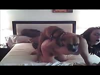 Coed slut getting her soaked fuck hole screwed by an enormous K9 in this bestiality movie