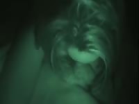 Fabulous night vision video features pleasing young tattooed girlfriend sucking her dudes dick