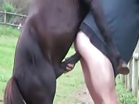 Ranch worker gets hot when he notices a horse hardon and gets fucked anally by the beast