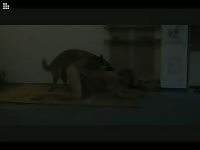 Sex-addicted never before seen coed mounted and screwed deep by her horny hung dog