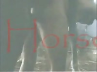 After a hard day of at work on the ranch this guy engage sin bestiality sex with a horse