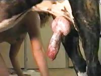 Cum addicted married tramp shows off cock sucking skills on beast then tastes animal sperm
