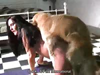 Book and Film - Fabulous juicy real breasts bouncing as this brunette whore gets screwed by an animal