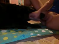Turned on teen webcam model pleasures her cunt while being licked by an animal on webcam