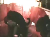 Married hoe getting her wet fuck hole screwed by an endowed K9 in this zoo sex movie