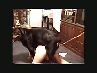Irresistible teenage babe getting fucked by a K9 for hubby in this awesome beast fetish film