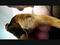 Open and ready for a deep pummeling is a sweet housewife who loves being fucked by her K9