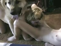 Frisky married trollop getting fucked by the family pet while licking her girlfriends moist hole