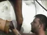Cum loving boyfriend on his knees and sucking horse cock to please his dominant boyfriend