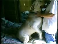 Amateur redhead tramp can't help but expose her pussy and bounce on animal cock here